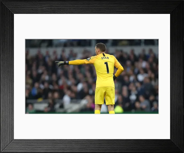 Framed Print : Premier League Showdown: Tottenham Hotspur vs. Brighton and Hove Albion (23APR19) Framed Print : Premier League Showdown: Tottenham Hotspur vs. Brighton and Hove Albion (23APR19)