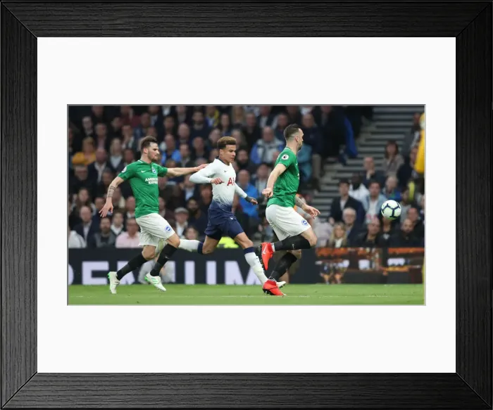 Framed Print : Premier League Showdown: Tottenham Hotspur vs. Brighton and Hove Albion (23APR19) Framed Print : Premier League Showdown: Tottenham Hotspur vs. Brighton and Hove Albion (23APR19)