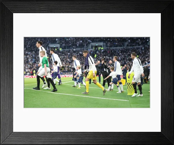 Framed Print : Premier League Showdown: Tottenham Hotspur vs. Brighton and Hove Albion (23APR19)