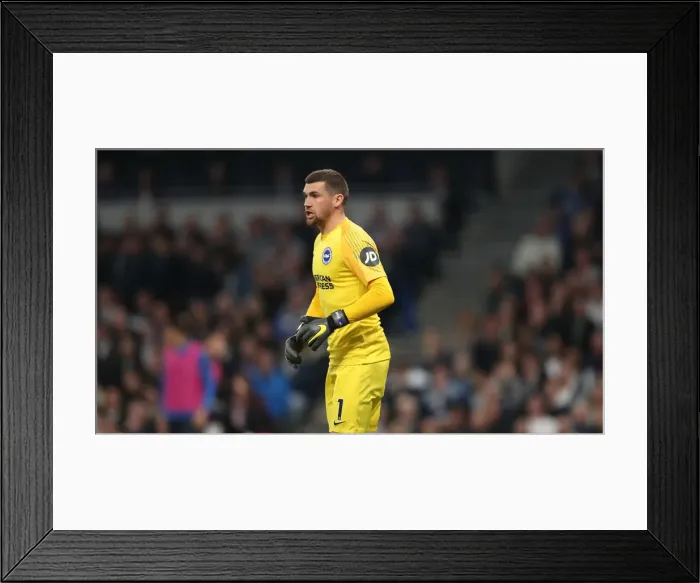 Framed Print : Premier League Showdown: Tottenham Hotspur vs. Brighton and Hove Albion (23APR19) Framed Print : Premier League Showdown: Tottenham Hotspur vs. Brighton and Hove Albion (23APR19)