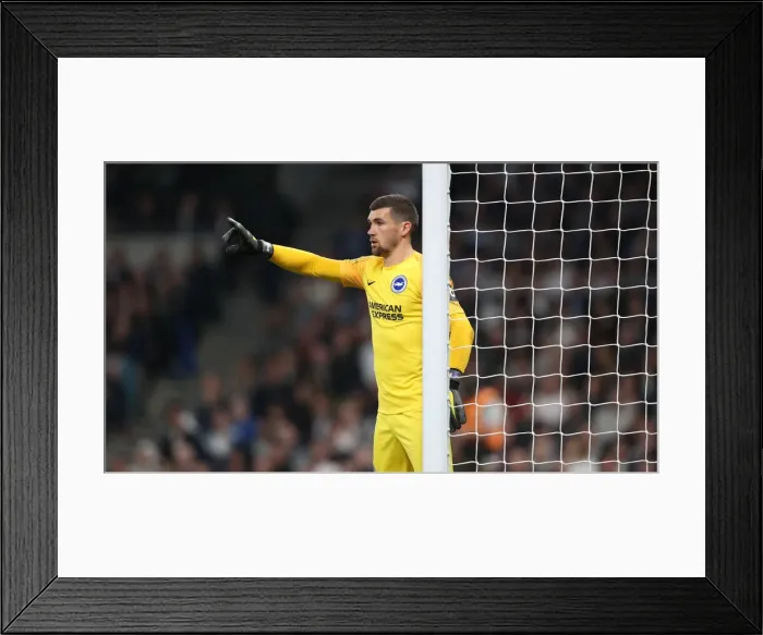 Framed Print : Premier League Showdown: Tottenham Hotspur vs. Brighton and Hove Albion (23APR19) Framed Print : Premier League Showdown: Tottenham Hotspur vs. Brighton and Hove Albion (23APR19)