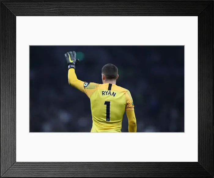 Framed Print : Premier League Showdown: Tottenham Hotspur vs. Brighton and Hove Albion (23APR19) Framed Print : Premier League Showdown: Tottenham Hotspur vs. Brighton and Hove Albion (23APR19)