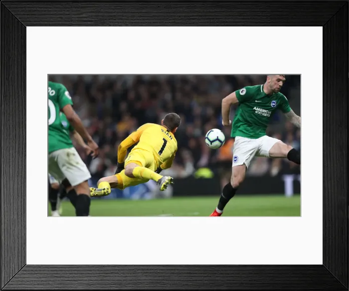 Framed Print : Premier League Showdown: Tottenham Hotspur vs. Brighton and Hove Albion (23APR19) Framed Print : Premier League Showdown: Tottenham Hotspur vs. Brighton and Hove Albion (23APR19)