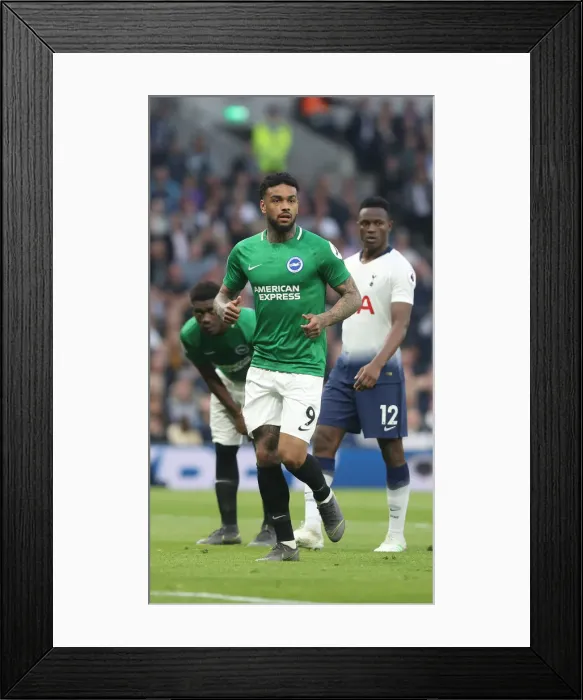Framed Print : Premier League Showdown: Tottenham Hotspur vs. Brighton and Hove Albion (23APR19) Framed Print : Premier League Showdown: Tottenham Hotspur vs. Brighton and Hove Albion (23APR19)
