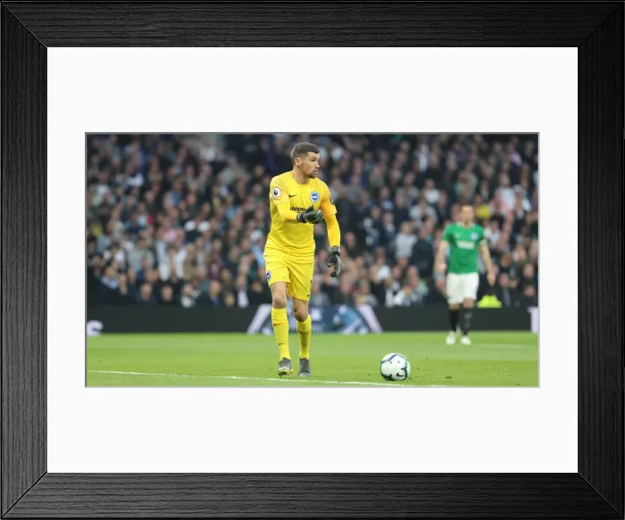Framed Print : Premier League Showdown: Tottenham Hotspur vs. Brighton and Hove Albion (23APR19) Framed Print : Premier League Showdown: Tottenham Hotspur vs. Brighton and Hove Albion (23APR19)