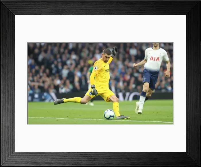 Framed Print : Premier League Showdown: Tottenham Hotspur vs. Brighton and Hove Albion (23APR19) Framed Print : Premier League Showdown: Tottenham Hotspur vs. Brighton and Hove Albion (23APR19)