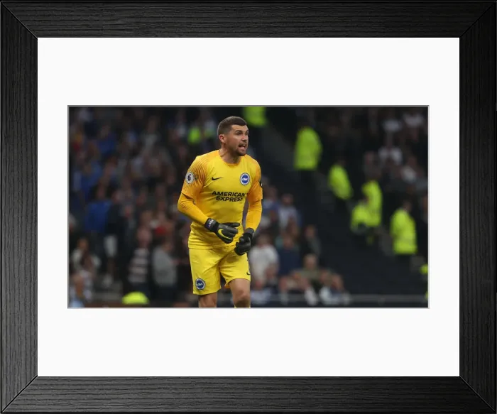 Framed Print : Premier League Showdown: Tottenham Hotspur vs. Brighton and Hove Albion (23APR19) Framed Print : Premier League Showdown: Tottenham Hotspur vs. Brighton and Hove Albion (23APR19)