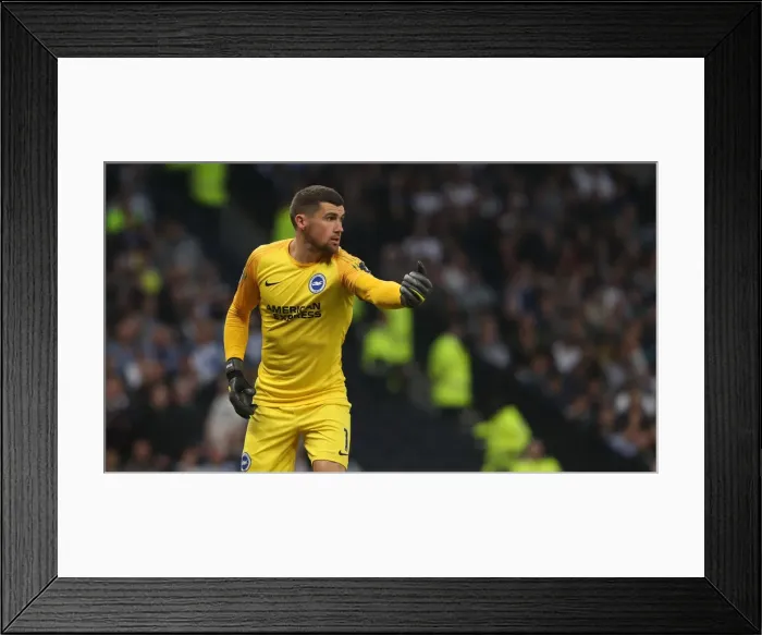 Framed Print : Premier League Showdown: Tottenham Hotspur vs. Brighton and Hove Albion (23APR19) Framed Print : Premier League Showdown: Tottenham Hotspur vs. Brighton and Hove Albion (23APR19)