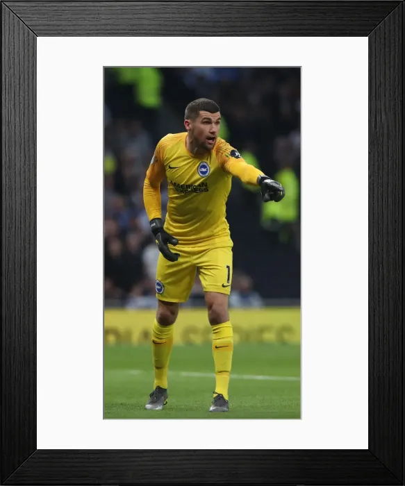 Framed Print : Premier League Showdown: Tottenham Hotspur vs. Brighton and Hove Albion (23APR19) Framed Print : Premier League Showdown: Tottenham Hotspur vs. Brighton and Hove Albion (23APR19)