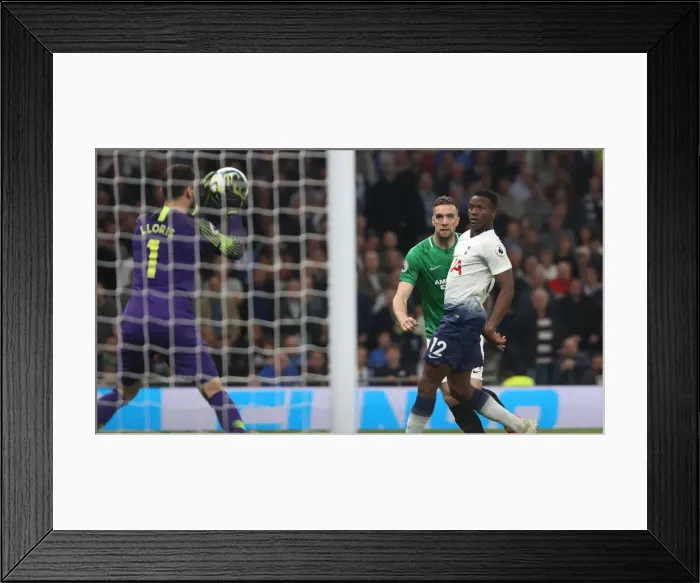 Framed Print : Premier League Showdown: Tottenham Hotspur vs. Brighton and Hove Albion (23APR19) Framed Print : Premier League Showdown: Tottenham Hotspur vs. Brighton and Hove Albion (23APR19)