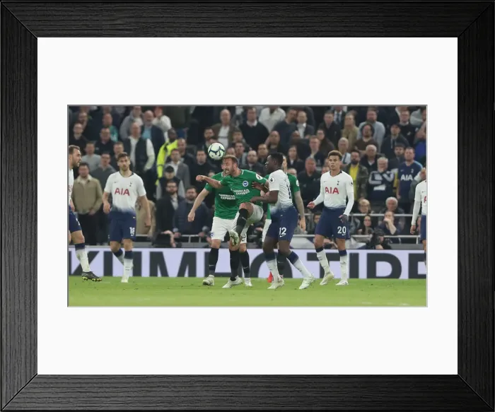 Framed Print : Premier League Showdown: Tottenham Hotspur vs. Brighton and Hove Albion (23APR19) Framed Print : Premier League Showdown: Tottenham Hotspur vs. Brighton and Hove Albion (23APR19)