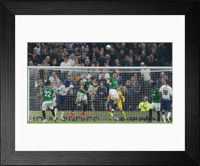 Framed Print : Premier League Showdown: Tottenham Hotspur vs. Brighton and Hove Albion (23APR19) Framed Print : Premier League Showdown: Tottenham Hotspur vs. Brighton and Hove Albion (23APR19)