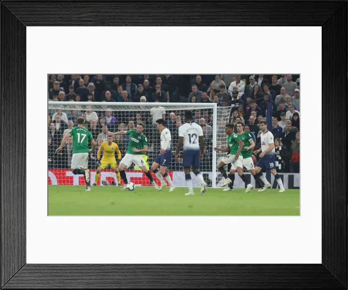 Framed Print : Premier League Showdown: Tottenham Hotspur vs. Brighton and Hove Albion (23APR19) Framed Print : Premier League Showdown: Tottenham Hotspur vs. Brighton and Hove Albion (23APR19)