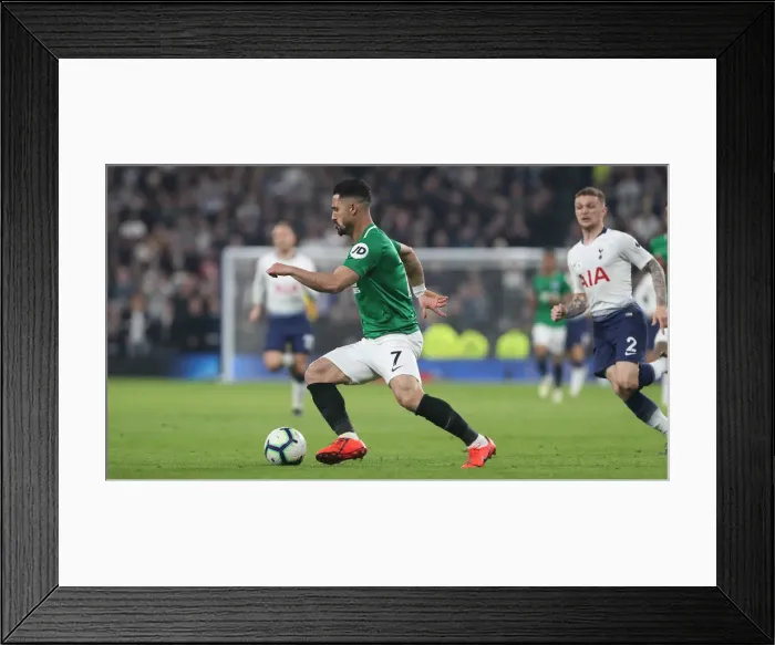 Framed Print : Premier League Showdown: Tottenham vs. Brighton (23APR19) Framed Print : Premier League Showdown: Tottenham vs. Brighton (23APR19)