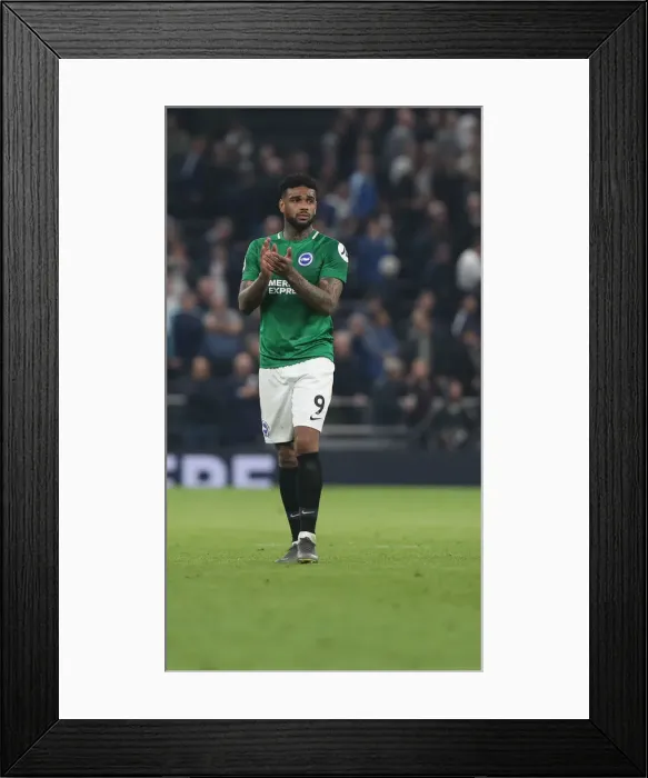 Framed Print : Premier League Showdown: Tottenham Hotspur vs. Brighton and Hove Albion (23APR19) Framed Print : Premier League Showdown: Tottenham Hotspur vs. Brighton and Hove Albion (23APR19)