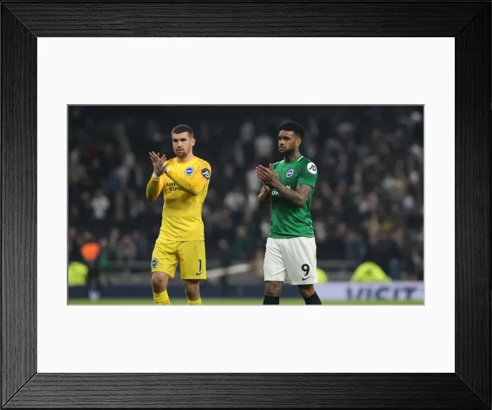 Framed Print : Intense Premier League Showdown: Tottenham Hotspur vs. Brighton and Hove Albion (23APR19) Framed Print : Intense Premier League Showdown: Tottenham Hotspur vs. Brighton and Hove Albion (23APR19)