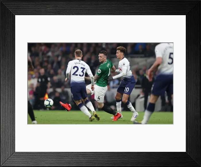 Framed Print : Premier League Showdown: Tottenham Hotspur vs. Brighton and Hove Albion (23APR19) Framed Print : Premier League Showdown: Tottenham Hotspur vs. Brighton and Hove Albion (23APR19)