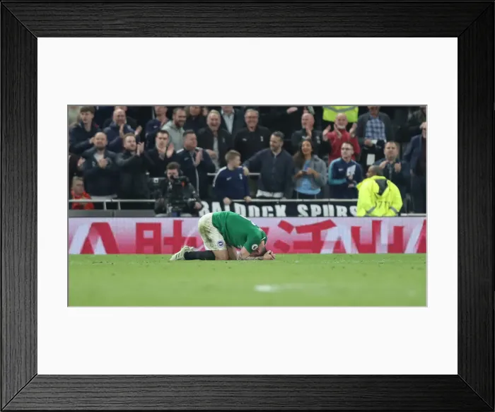 Framed Print : Premier League Showdown: Tottenham Hotspur vs. Brighton and Hove Albion (23APR19) Framed Print : Premier League Showdown: Tottenham Hotspur vs. Brighton and Hove Albion (23APR19)