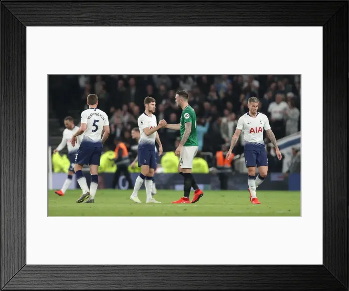 Framed Print : Premier League Showdown: Tottenham Hotspur vs. Brighton and Hove Albion (23APR19) Framed Print : Premier League Showdown: Tottenham Hotspur vs. Brighton and Hove Albion (23APR19)