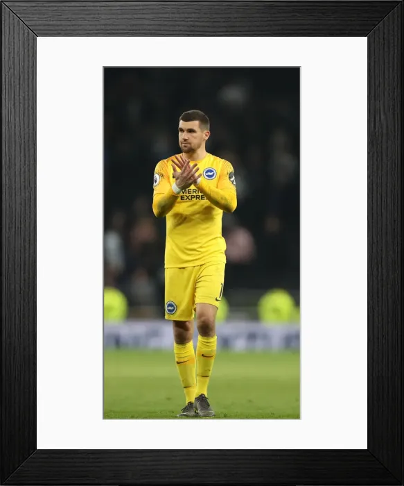 Framed Print : Premier League Showdown: Tottenham Hotspur vs. Brighton and Hove Albion (23APR19) Framed Print : Premier League Showdown: Tottenham Hotspur vs. Brighton and Hove Albion (23APR19)