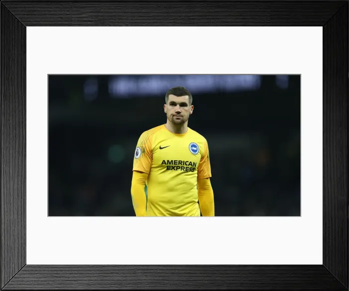 Framed Print : Premier League Showdown: Tottenham Hotspur vs. Brighton and Hove Albion (23APR19) Framed Print : Premier League Showdown: Tottenham Hotspur vs. Brighton and Hove Albion (23APR19)