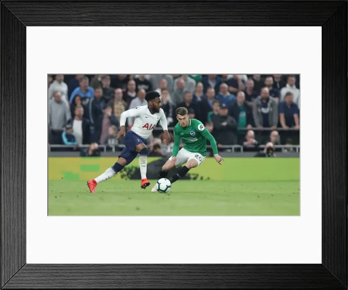 Framed Print : Premier League Showdown: Tottenham Hotspur vs. Brighton and Hove Albion (23APR19) Framed Print : Premier League Showdown: Tottenham Hotspur vs. Brighton and Hove Albion (23APR19)