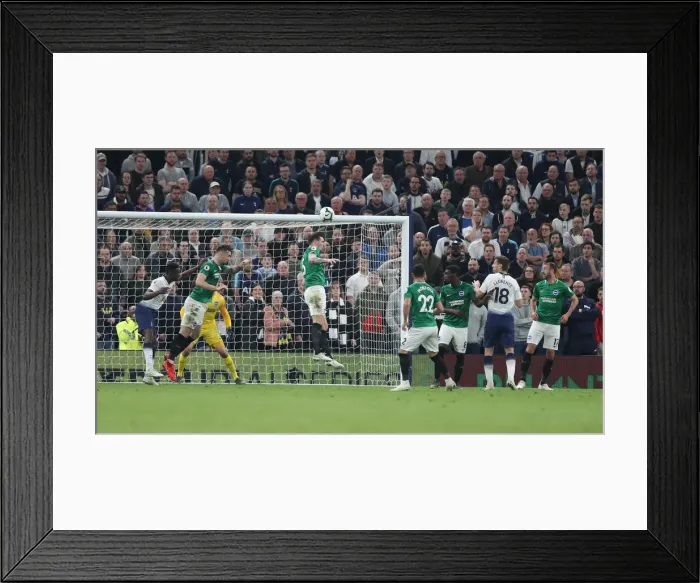 Framed Print : Premier League Showdown: Tottenham Hotspur vs. Brighton and Hove Albion (23APR19) Framed Print : Premier League Showdown: Tottenham Hotspur vs. Brighton and Hove Albion (23APR19)