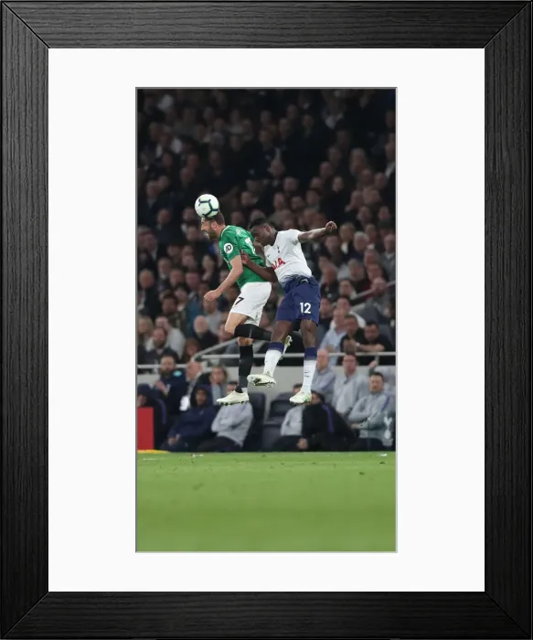 Framed Print : Premier League Showdown: Tottenham Hotspur vs. Brighton and Hove Albion (23APR19)