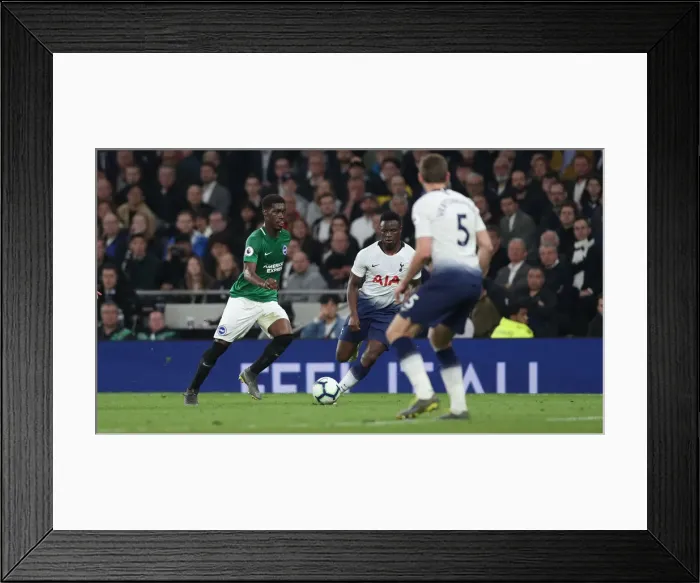 Framed Print : Premier League Showdown: Tottenham Hotspur vs. Brighton and Hove Albion (23APR19) Framed Print : Premier League Showdown: Tottenham Hotspur vs. Brighton and Hove Albion (23APR19)