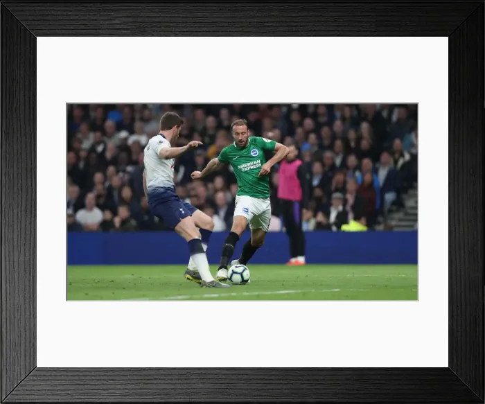 Framed Print : Premier League Showdown: Tottenham Hotspur vs. Brighton and Hove Albion (23APR19) Framed Print : Premier League Showdown: Tottenham Hotspur vs. Brighton and Hove Albion (23APR19)