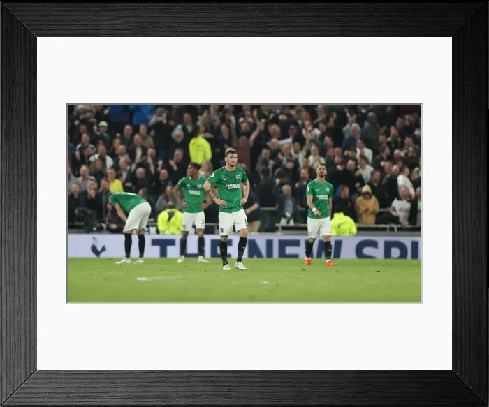 Framed Print : Premier League Showdown: Tottenham Hotspur vs. Brighton and Hove Albion (23APR19) Framed Print : Premier League Showdown: Tottenham Hotspur vs. Brighton and Hove Albion (23APR19)