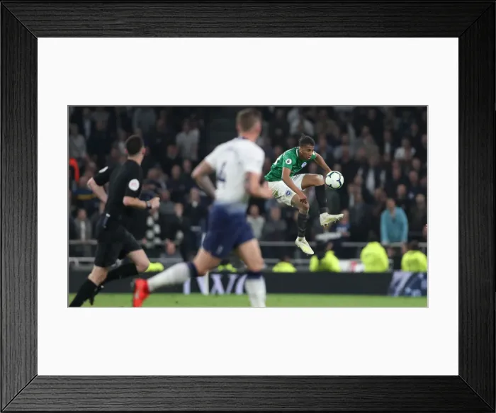 Framed Print : Premier League Showdown: Tottenham Hotspur vs. Brighton and Hove Albion (23APR19) Framed Print : Premier League Showdown: Tottenham Hotspur vs. Brighton and Hove Albion (23APR19)