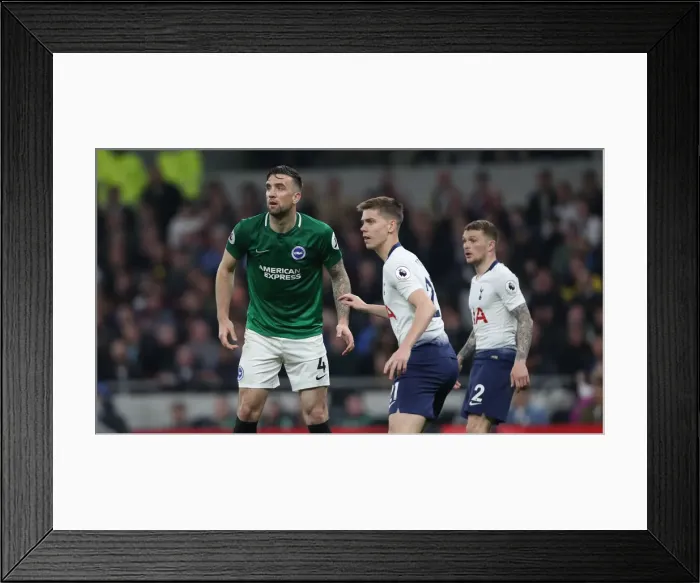 Framed Print : Premier League Showdown: Tottenham Hotspur vs. Brighton and Hove Albion (23APR19) Framed Print : Premier League Showdown: Tottenham Hotspur vs. Brighton and Hove Albion (23APR19)