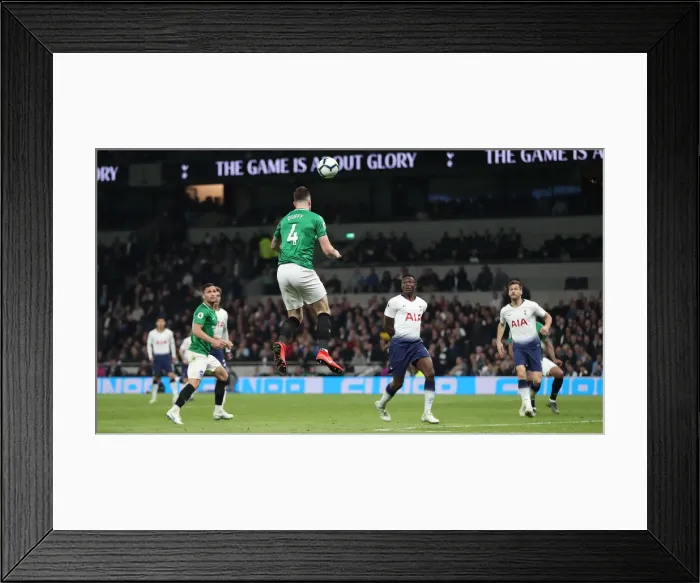 Framed Print : Premier League Showdown: Tottenham Hotspur vs. Brighton and Hove Albion (23APR19) Framed Print : Premier League Showdown: Tottenham Hotspur vs. Brighton and Hove Albion (23APR19)