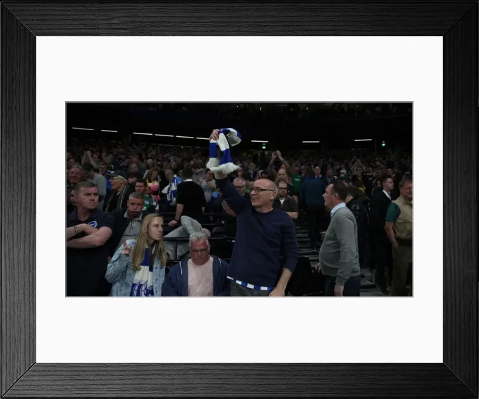Framed Print : Premier League Showdown: Tottenham Hotspur vs. Brighton and Hove Albion (23APR19)