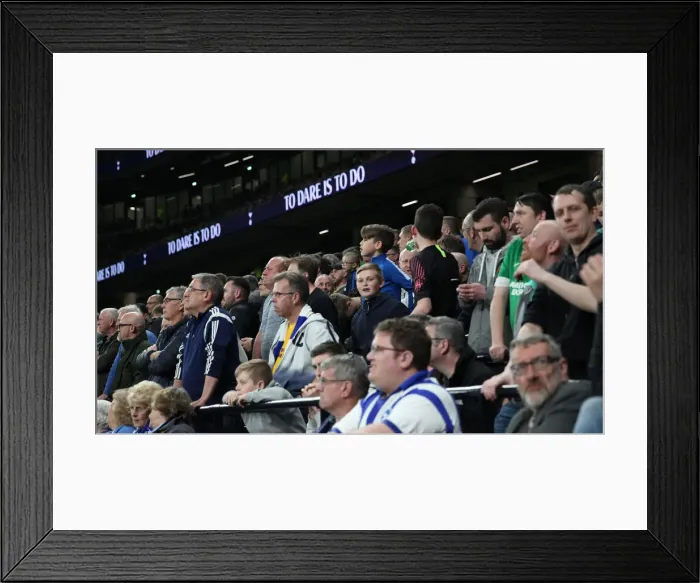 Framed Print : Premier League Showdown: Tottenham Hotspur vs. Brighton and Hove Albion (23APR19) Framed Print : Premier League Showdown: Tottenham Hotspur vs. Brighton and Hove Albion (23APR19)