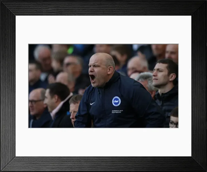 Framed Print : Brighton and Hove Albion vs. Newcastle United: A Premier League Battle at American Express Community Stadium (27APR19) Framed Print : Brighton and Hove Albion vs. Newcastle United: A Premier League Battle at American Express Community Stadium (27APR19)