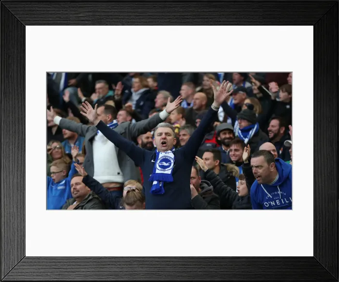 Framed Print : Premier League Showdown: Brighton & Hove Albion vs. Newcastle United (27APR19) Framed Print : Premier League Showdown: Brighton & Hove Albion vs. Newcastle United (27APR19)