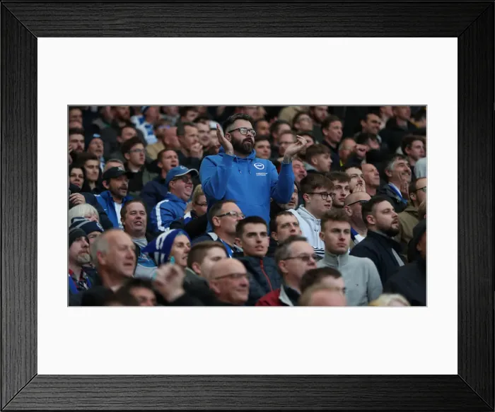 Framed Print : Premier League Showdown: Brighton & Hove Albion vs. Newcastle United (27APR19) Framed Print : Premier League Showdown: Brighton & Hove Albion vs. Newcastle United (27APR19)