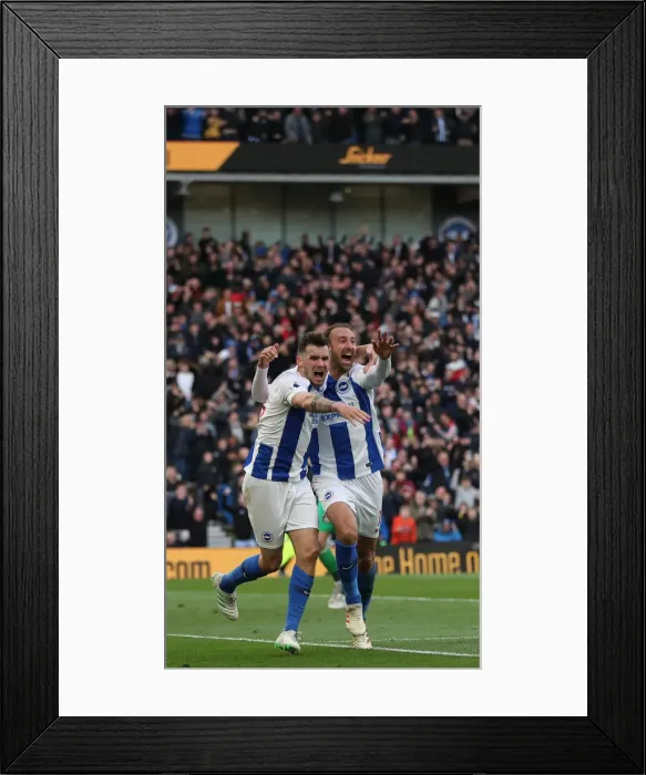 Framed Print : Premier League Showdown: Brighton & Hove Albion vs. Newcastle United (27APR19)