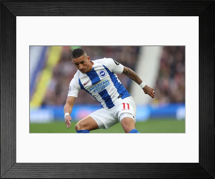 Framed Print : Premier League Showdown: Brighton & Hove Albion vs. Newcastle United (27APR19) - American Express Community Stadium Framed Print : Premier League Showdown: Brighton & Hove Albion vs. Newcastle United (27APR19) - American Express Community Stadium