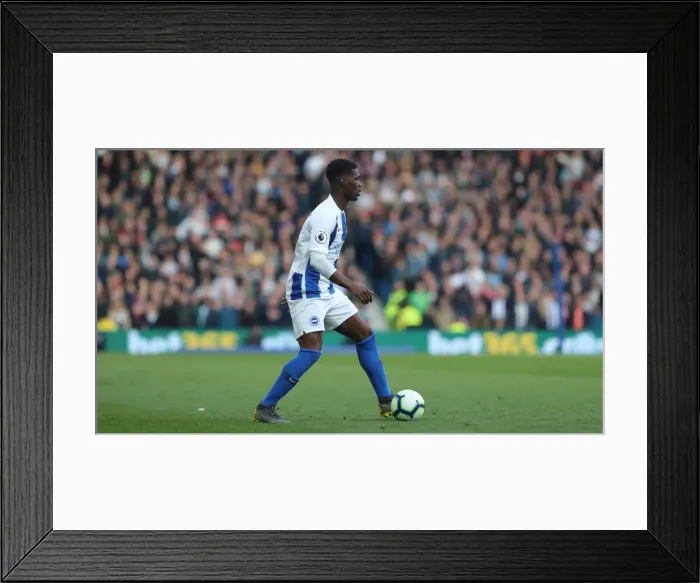 Framed Print : Premier League Showdown: Brighton & Hove Albion vs. Newcastle United (27APR19) Framed Print : Premier League Showdown: Brighton & Hove Albion vs. Newcastle United (27APR19)