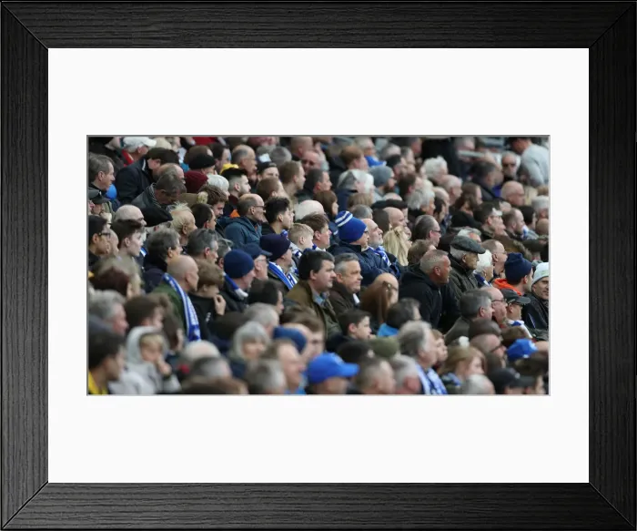 Framed Print : Premier League Showdown: Brighton & Hove Albion vs. Newcastle United (27APR19) Framed Print : Premier League Showdown: Brighton & Hove Albion vs. Newcastle United (27APR19)
