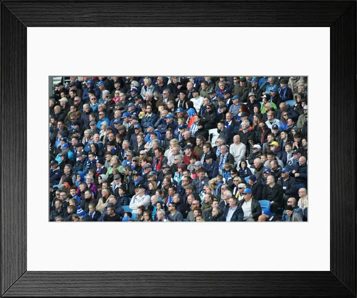 Framed Print : Premier League Showdown: Brighton & Hove Albion vs. Newcastle United (27APR19) - American Express Community Stadium Framed Print : Premier League Showdown: Brighton & Hove Albion vs. Newcastle United (27APR19) - American Express Community Stadium
