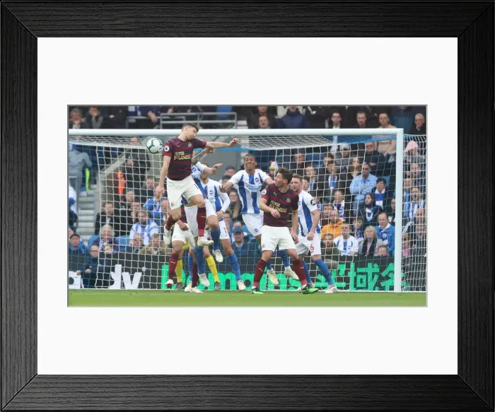 Framed Print : Brighton and Hove Albion vs. Newcastle United: A Premier League Showdown at American Express Community Stadium (27APR19) Framed Print : Brighton and Hove Albion vs. Newcastle United: A Premier League Showdown at American Express Community Stadium (27APR19)