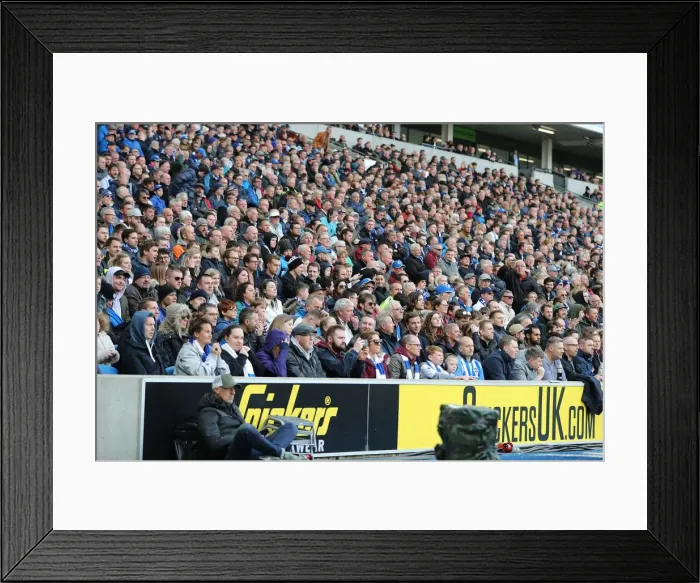 Framed Print : Premier League Showdown: Brighton & Hove Albion vs. Newcastle United (27APR19) Framed Print : Premier League Showdown: Brighton & Hove Albion vs. Newcastle United (27APR19)