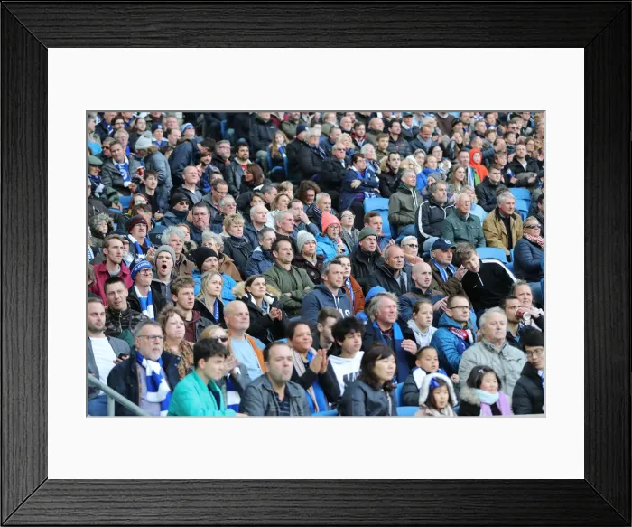 Framed Print : Premier League Showdown: Brighton & Hove Albion vs. Newcastle United (27APR19) - American Express Community Stadium Framed Print : Premier League Showdown: Brighton & Hove Albion vs. Newcastle United (27APR19) - American Express Community Stadium