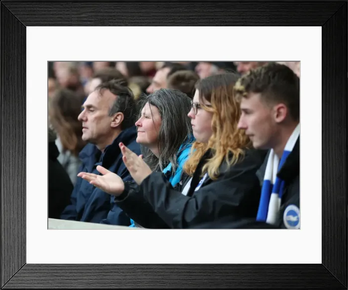 Framed Print : Premier League Showdown: Brighton & Hove Albion vs. Newcastle United (27APR19) Framed Print : Premier League Showdown: Brighton & Hove Albion vs. Newcastle United (27APR19)