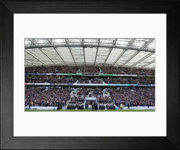 Framed Print : Premier League Showdown: Brighton & Hove Albion vs. Newcastle United (27APR19) - American Express Community Stadium Framed Print : Premier League Showdown: Brighton & Hove Albion vs. Newcastle United (27APR19) - American Express Community Stadium