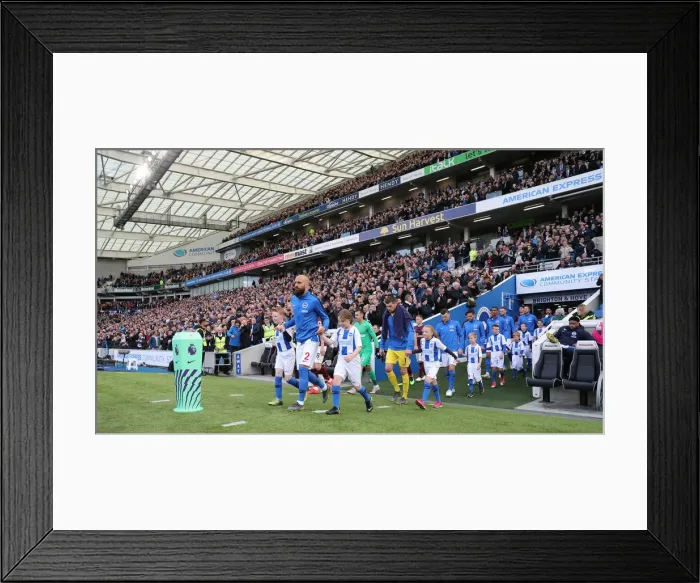 Framed Print : Premier League Showdown: Brighton & Hove Albion vs. Newcastle United (27APR19) - American Express Community Stadium
